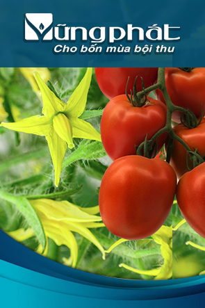 Kích ra hoa, đậu trái