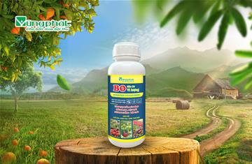 Bo hữu cơ vi lượng