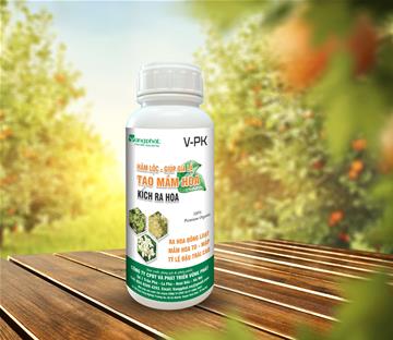 TẠO MẦM HOA- KÍCH HOA (LỎNG)