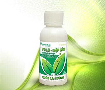 TO LÁ - MẬP CÂY 100ml