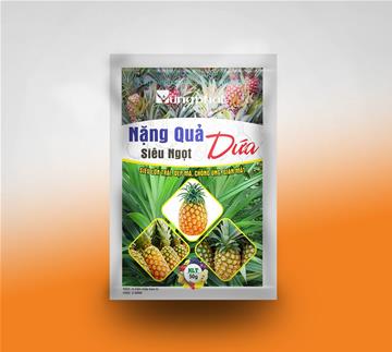 LỚN QUẢ - DÁN MẮT DỨA