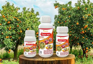 Sugar max, Tạo ngọt - lên màu trái