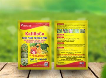 KALIBOCA ,Ra hoa, đậu trái