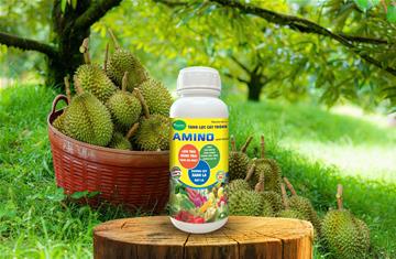 Tác dụng của Amino acid đối với cây trồng 