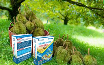 SIÊU LÂN 10-55-10 HỘP 1KG