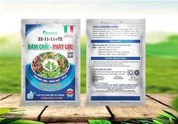 đâm chồi phát lộc 40g